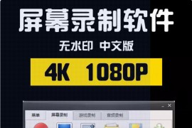 录屏工具Ocam 绿色便携版